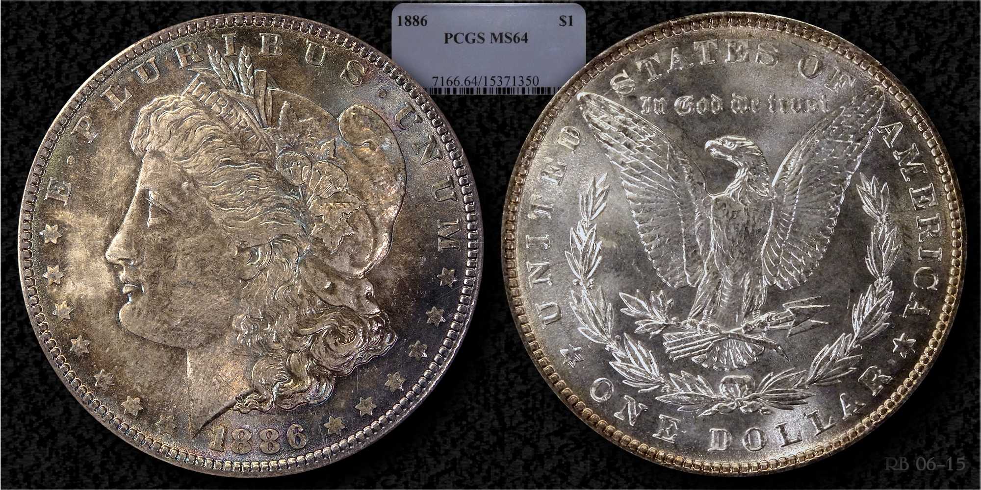 1886-P-Morgan-Dollar,-Toned-Grade-Posted