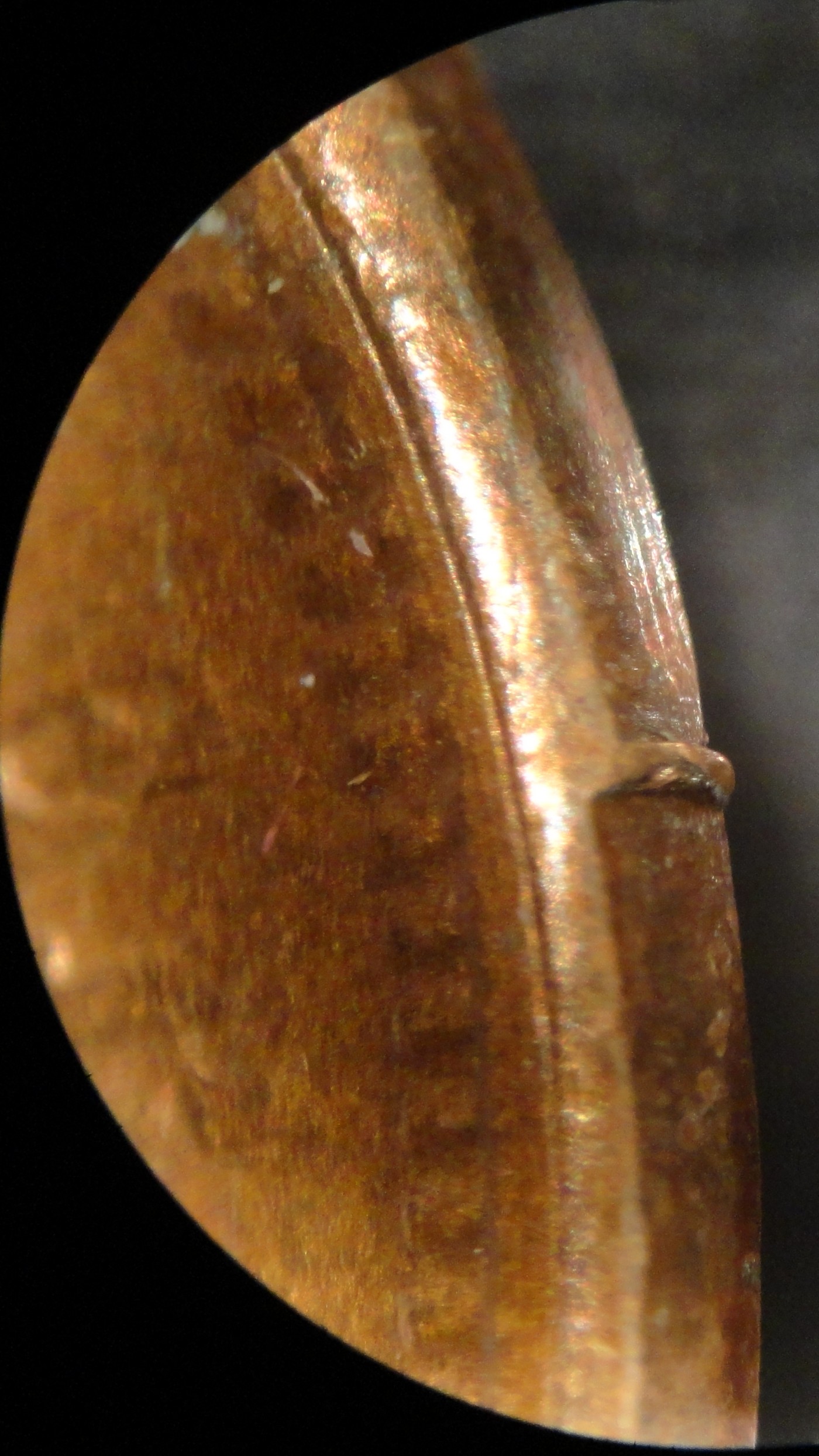 My-1866-IHC:-The-First-Broken-Collar-Attributed-Indian-Head